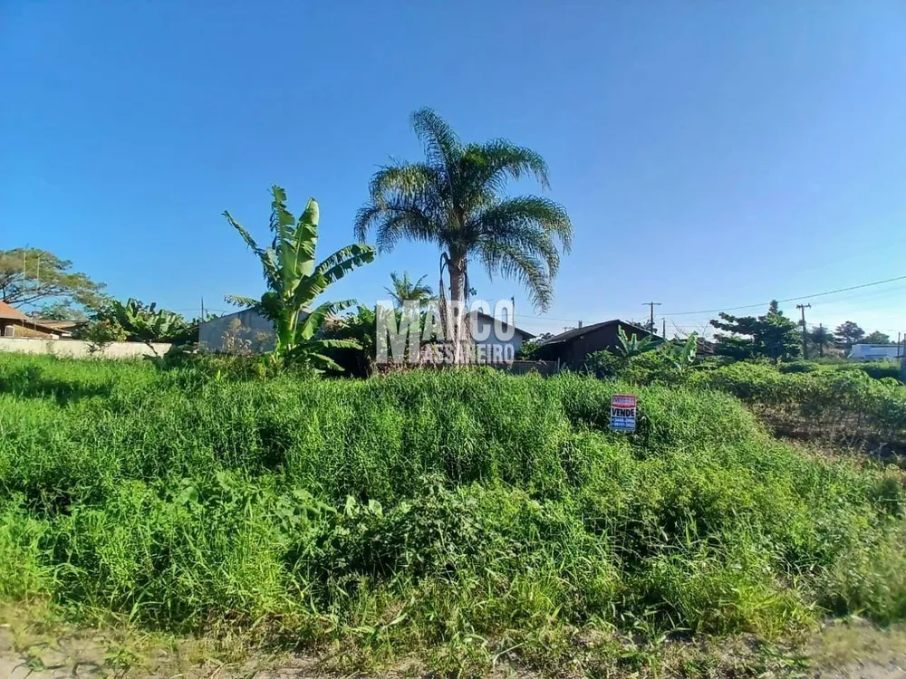 Terreno, 345 m² - Foto 5