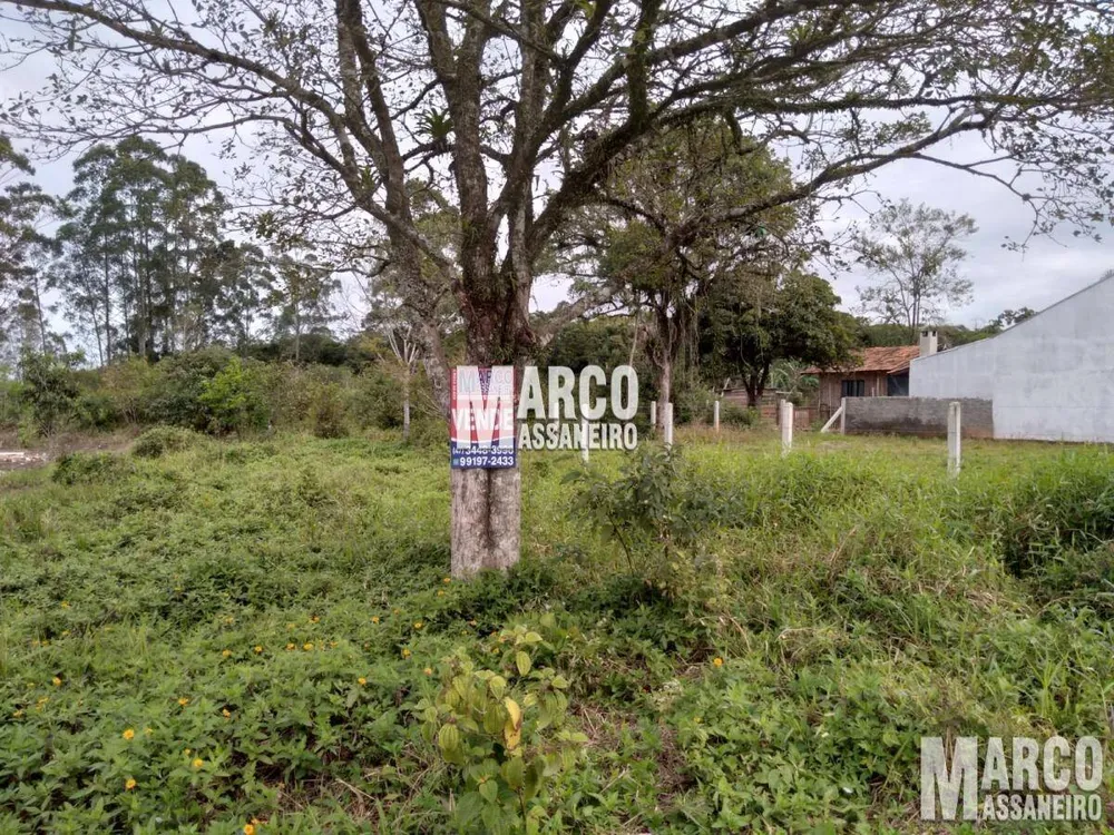 Terreno, 305 m² - Foto 6