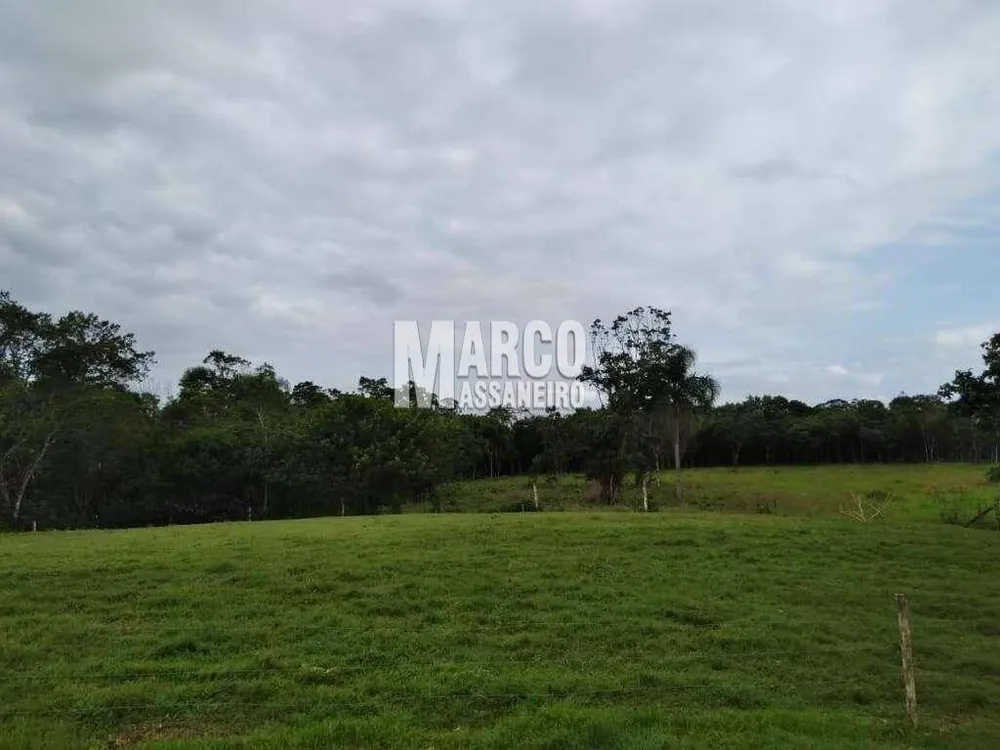 Terreno, 2 hectares - Foto 7