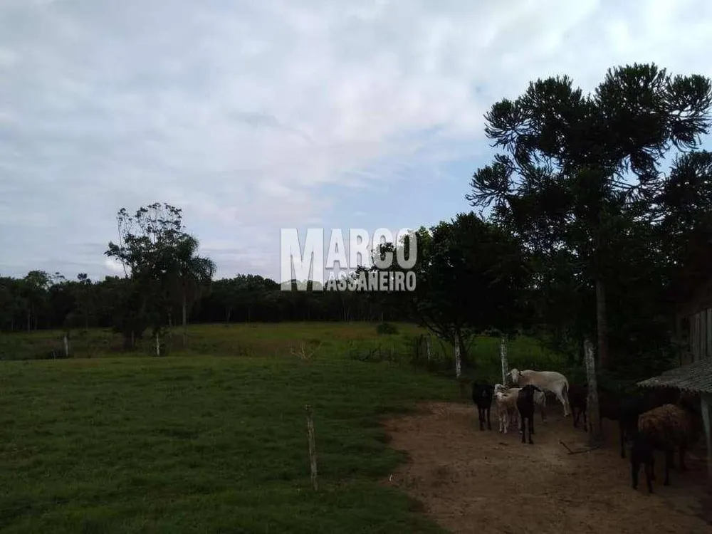 Terreno, 2 hectares - Foto 8