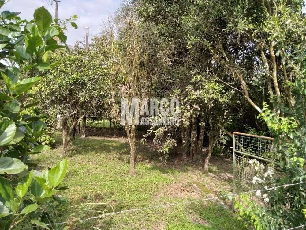 Terreno, 2 hectares - Foto 3