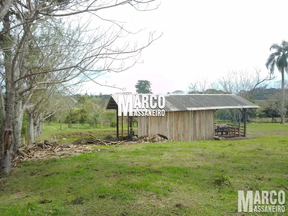 Chácara, 4 quartos, 7339 m² - Foto 4