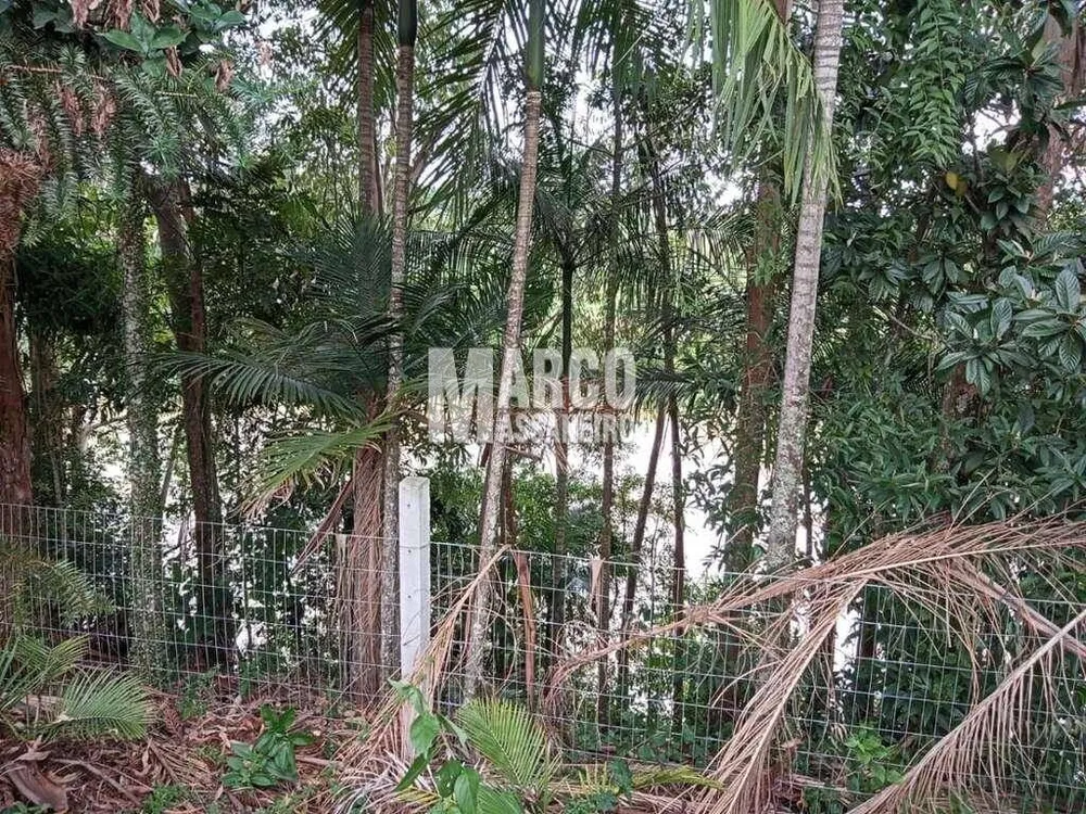 Chácara, 3 quartos, 2055 m² - Foto 8