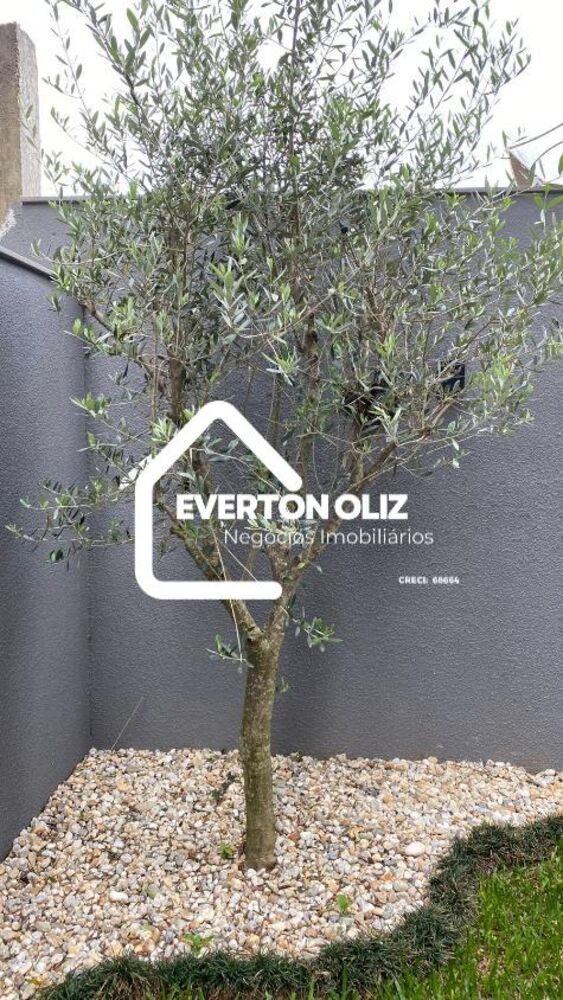 Apartamento, 3 quartos, 82 m² - Foto 11