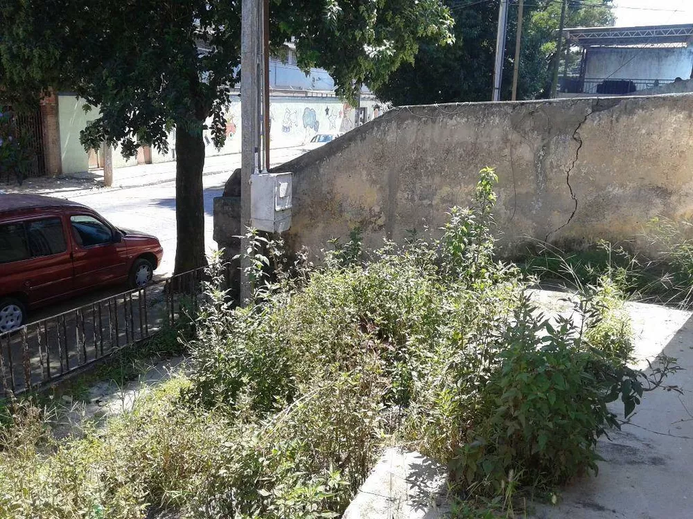Casa, 1 quarto, 400 m² - Foto 2