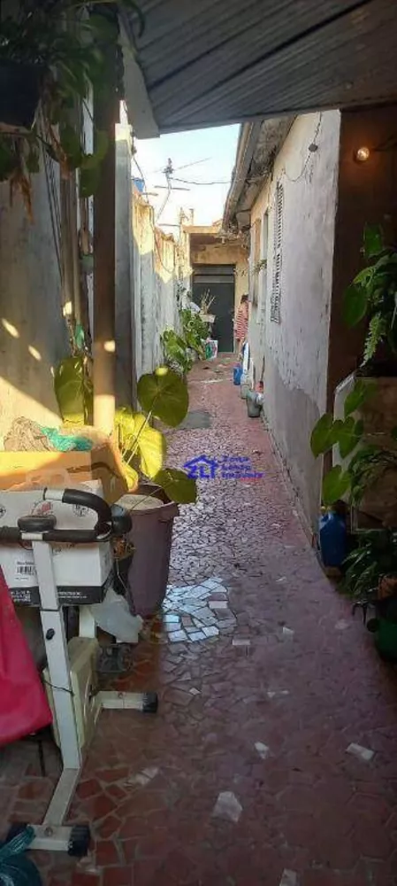 Casa, 4 quartos, 250 m² - Foto 4