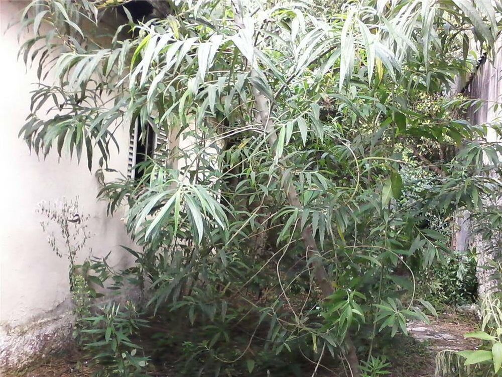 Terreno, 320 m² - Foto 4