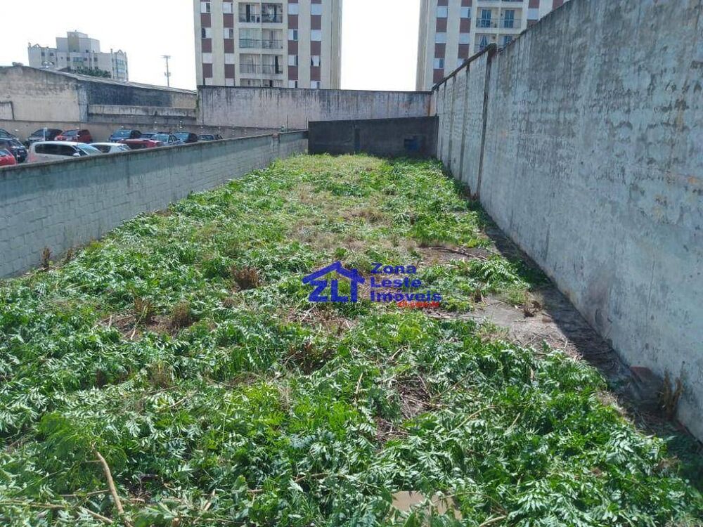 Terreno, 500 m² - Foto 4