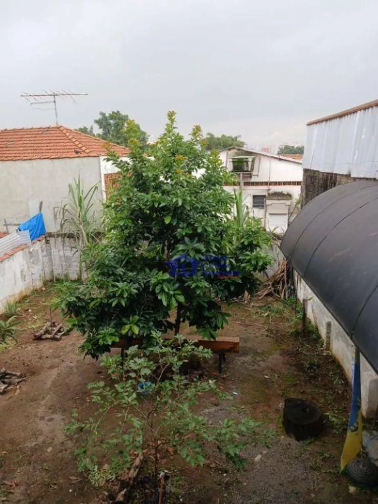 Prédio Inteiro, 240 m² - Foto 12