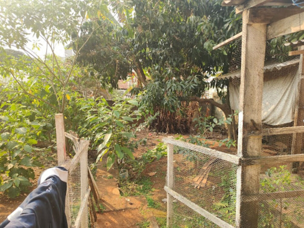Casa, 5 quartos, 360 m² - Foto 2