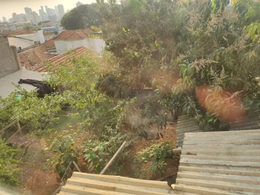Casa, 5 quartos, 360 m² - Foto 3
