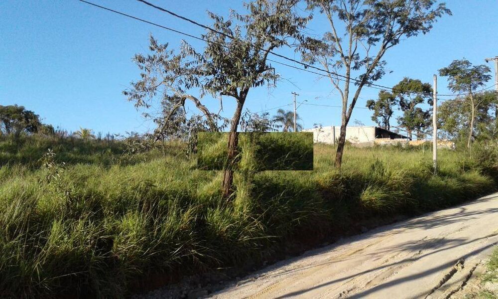 Terreno, 1200 m² - Foto 6