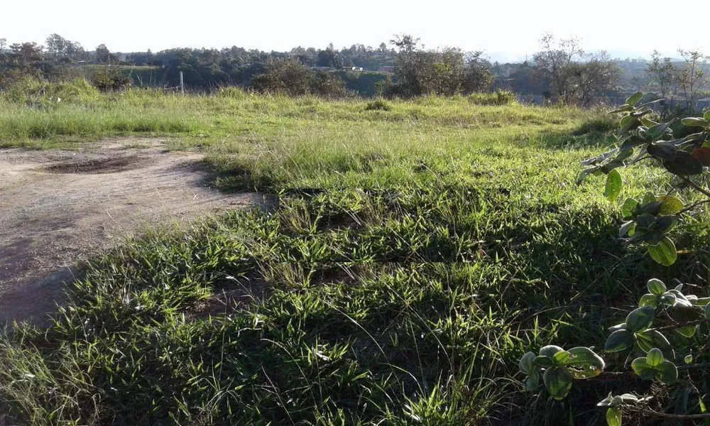 Terreno, 1200 m² - Foto 4