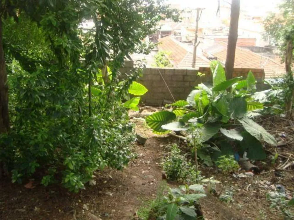 Terreno, 1000 m² - Foto 3