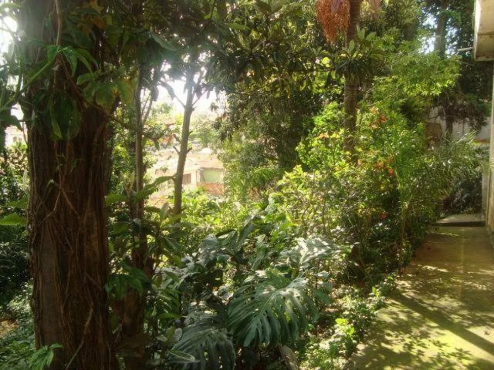 Terreno, 1000 m² - Foto 8