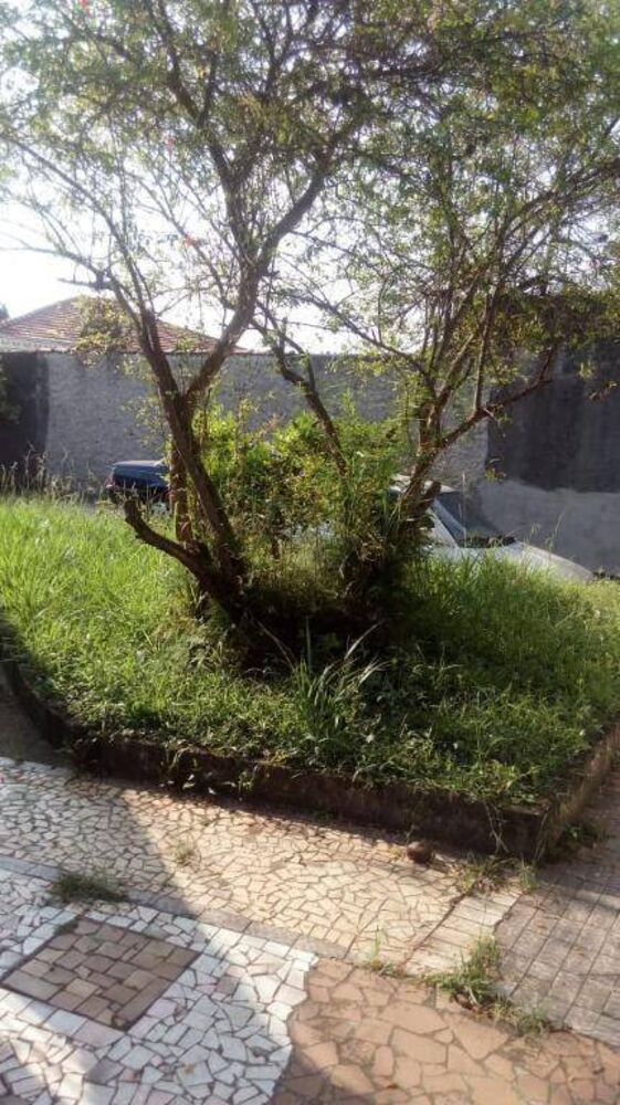 Terreno, 367 m² - Foto 3