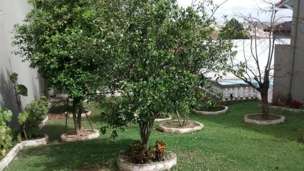 Sobrado, 4 quartos, 600 m² - Foto 5