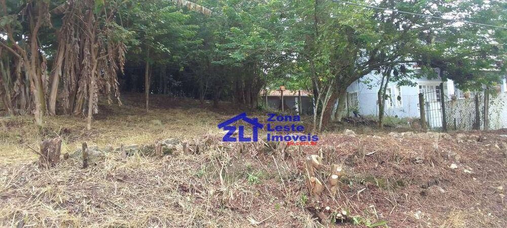 Terreno, 531 m² - Foto 4