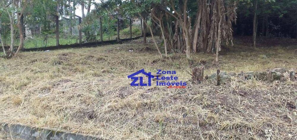 Terreno, 531 m² - Foto 3