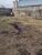 Terreno, 180 m² - Foto 3