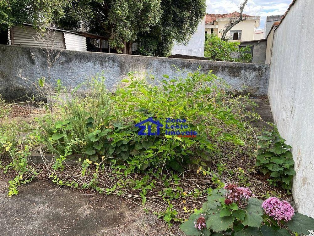 Casa, 3 quartos, 130 m² - Foto 5