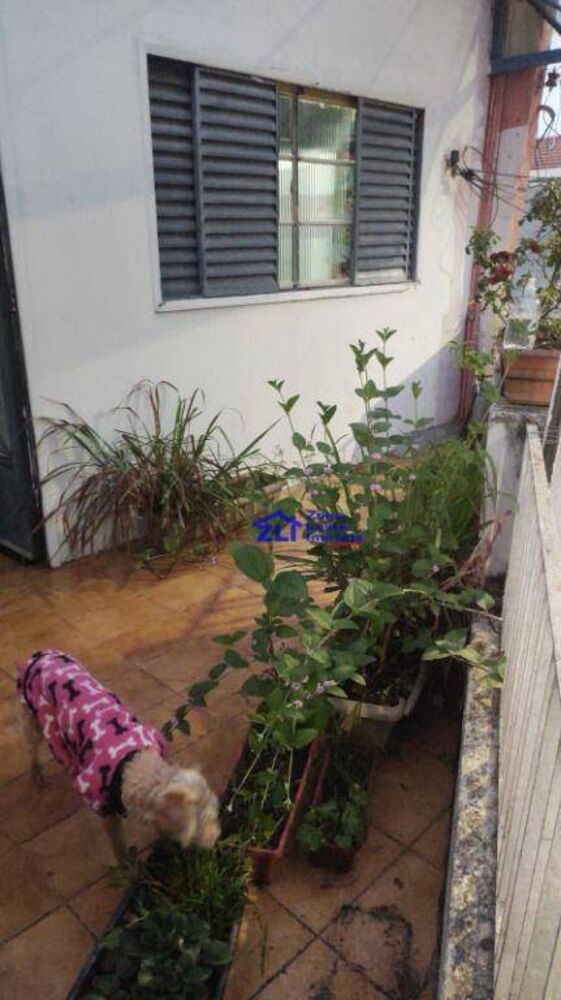 Casa, 5 quartos, 126 m² - Foto 1