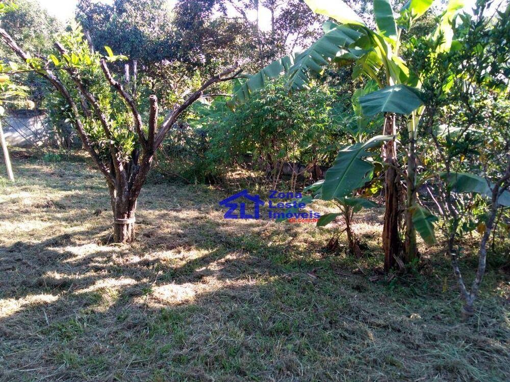 Chácara, 2 quartos, 1000 m² - Foto 5