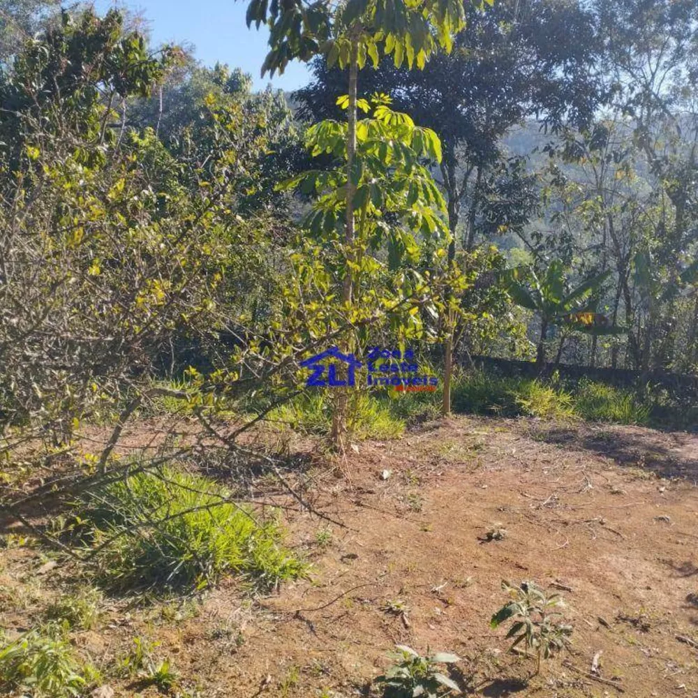 Chácara, 2 quartos, 1000 m² - Foto 3