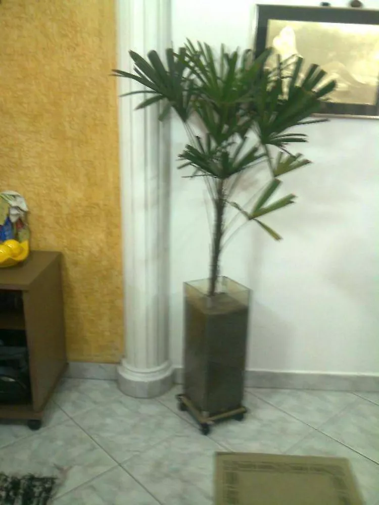 Sobrado, 3 quartos, 128 m² - Foto 1