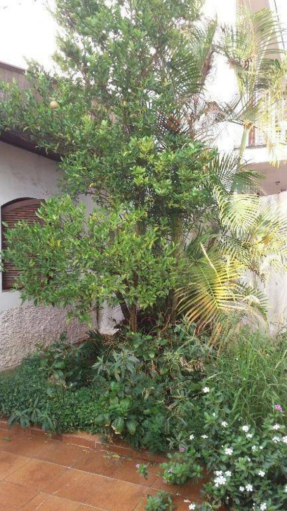 Casa, 3 quartos, 160 m² - Foto 6