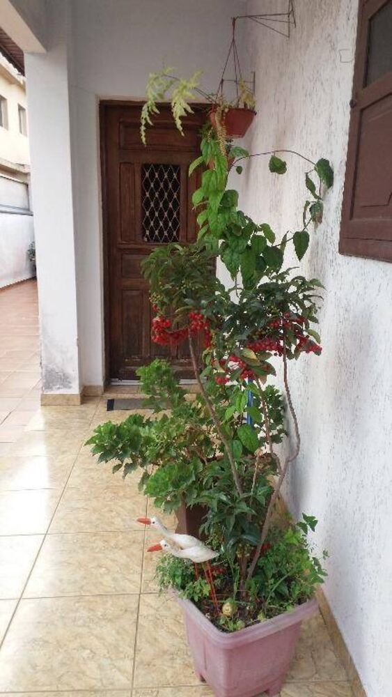 Casa, 3 quartos, 160 m² - Foto 1