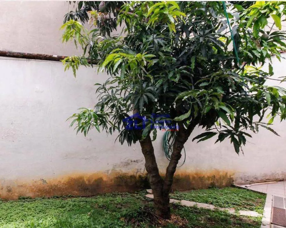 Casa, 6 quartos, 450 m² - Foto 5