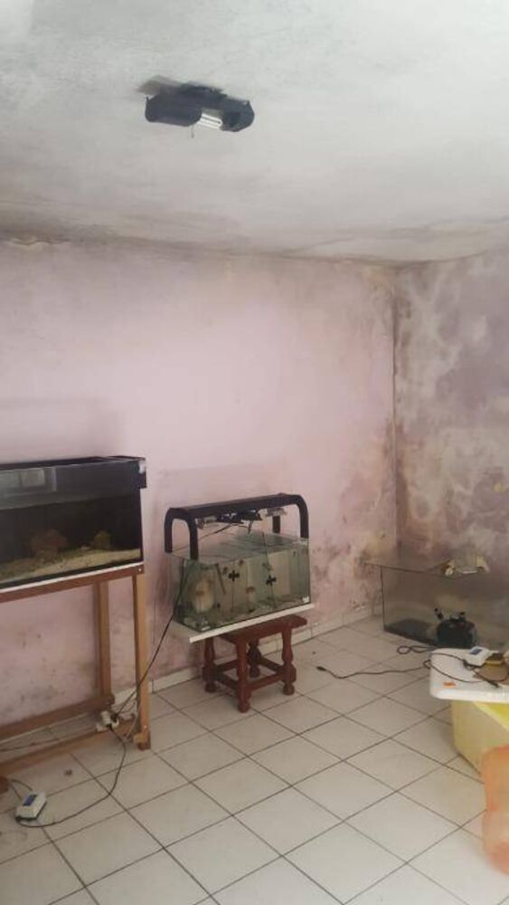 Casa, 2 quartos, 187 m² - Foto 1