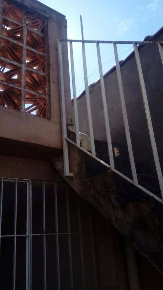Sobrado, 3 quartos, 135 m² - Foto 2