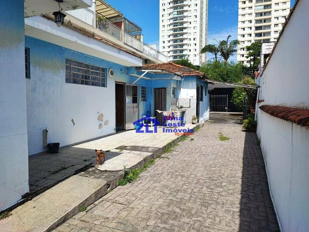 Casa, 2 quartos, 450 m² - Foto 11