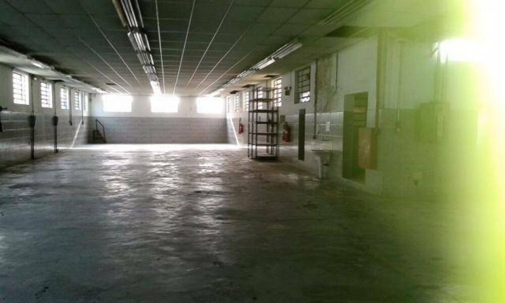 Depósito-Galpão, 1975 m² - Foto 1