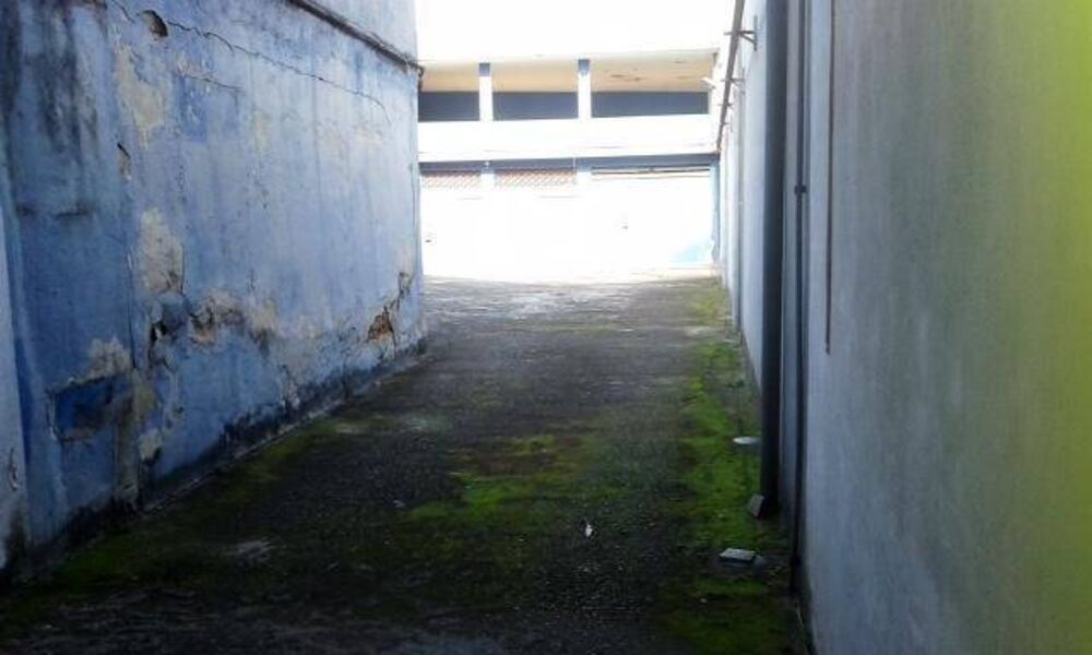 Depósito-Galpão, 1975 m² - Foto 2