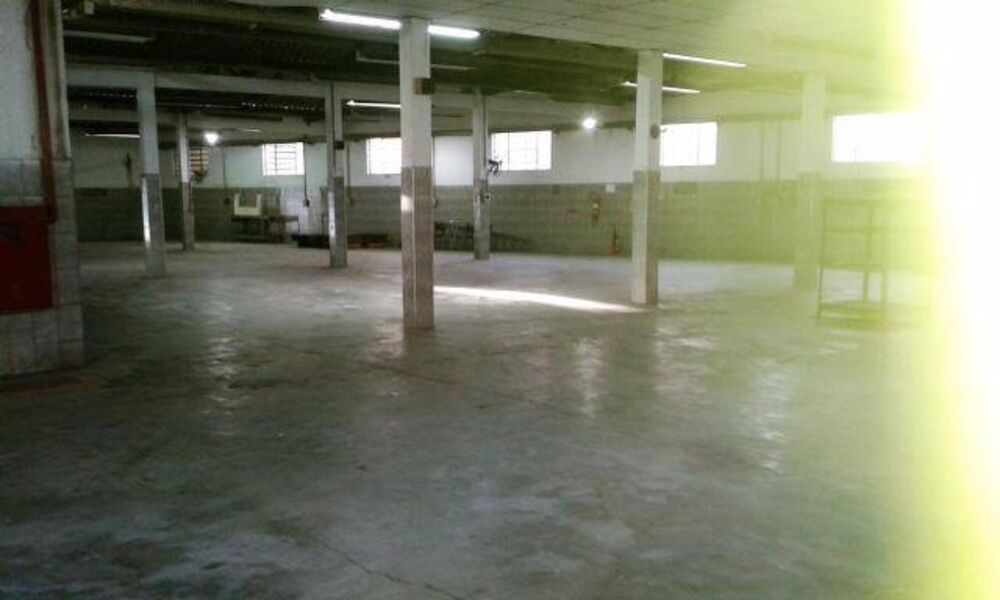 Depósito-Galpão, 1975 m² - Foto 6