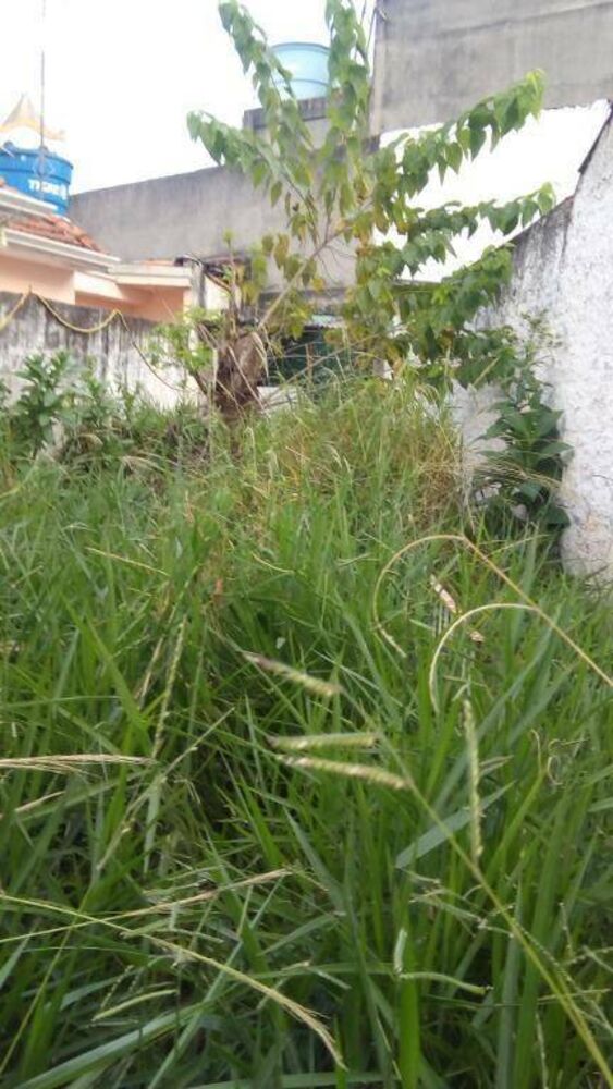 Casa, 2 quartos, 180 m² - Foto 2