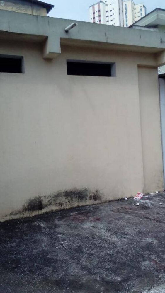 Casa, 2 quartos, 250 m² - Foto 1
