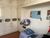 Sobrado, 3 quartos, 323 m² - Foto 4