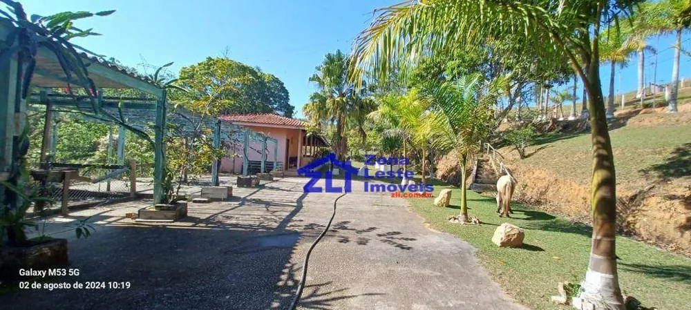 Chácara, 14 quartos, 242000 hectares - Foto 14