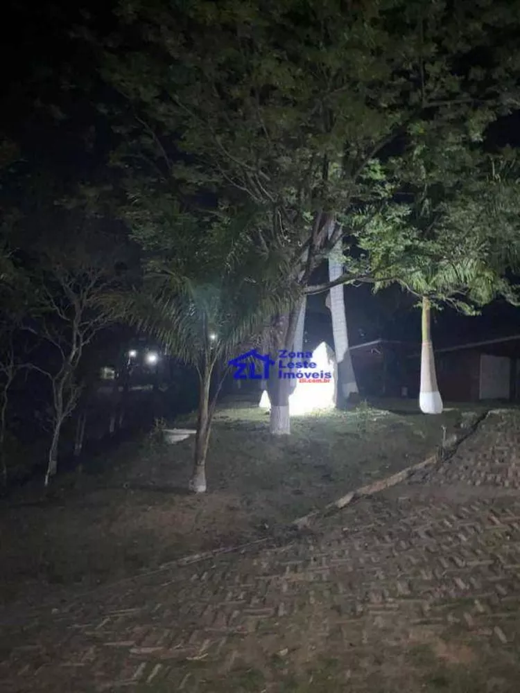 Chácara, 14 quartos, 242000 hectares - Foto 7