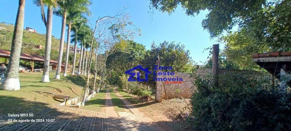 Chácara, 14 quartos, 242000 hectares - Foto 11