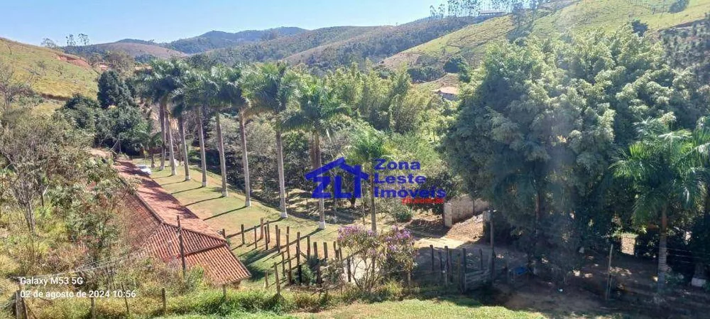 Chácara, 14 quartos, 242000 hectares - Foto 1