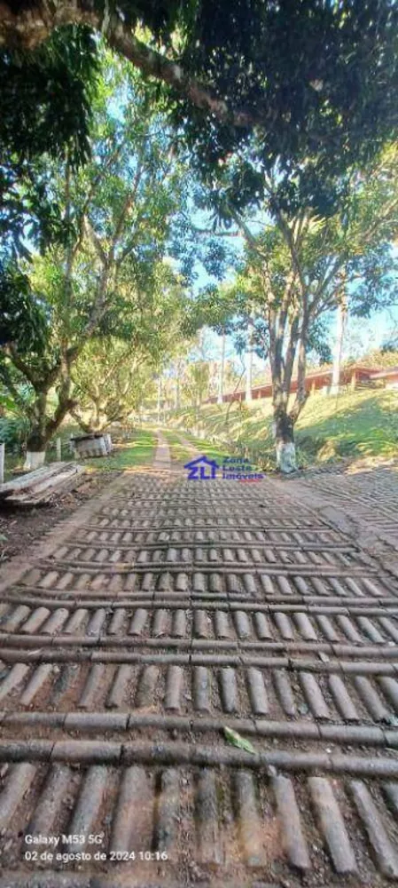 Chácara, 14 quartos, 242000 hectares - Foto 16