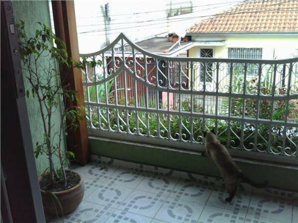 Sobrado, 4 quartos, 300 m² - Foto 1