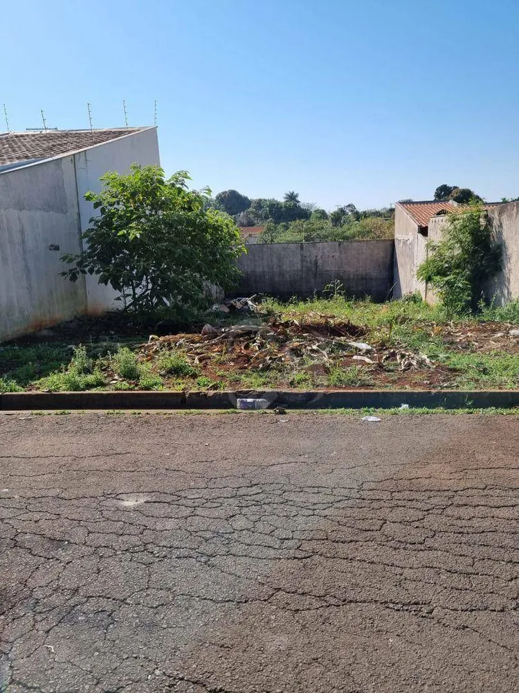 Terreno, 250 m² - Foto 6