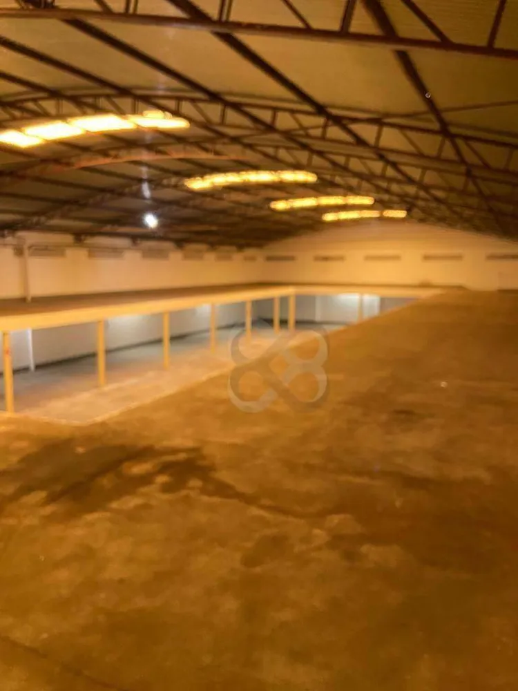 Depósito-Galpão, 973 m² - Foto 5
