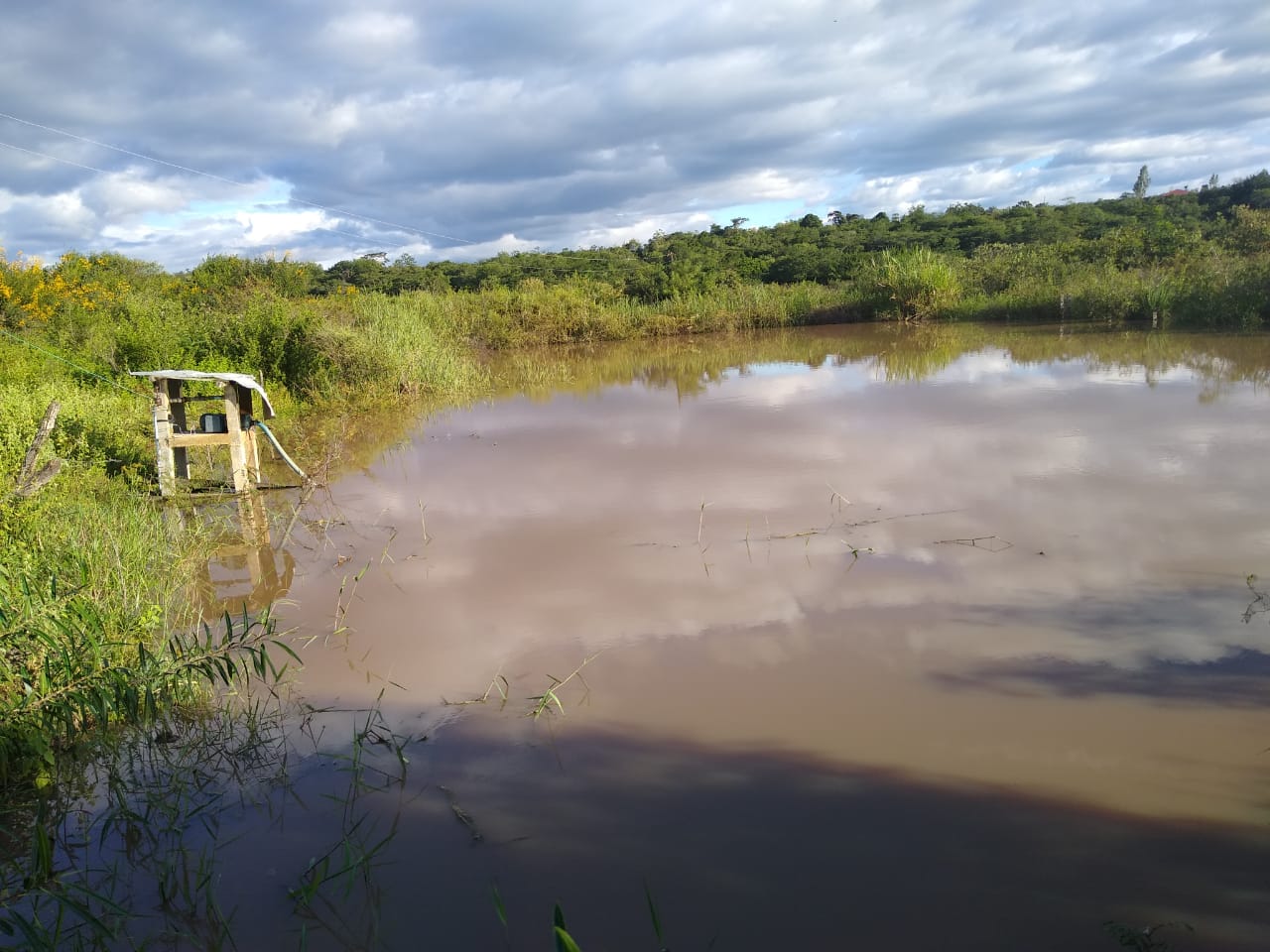 Fazenda à venda, 264hectare - Foto 7